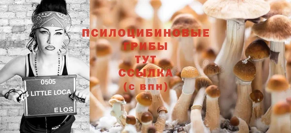 spice Магадан